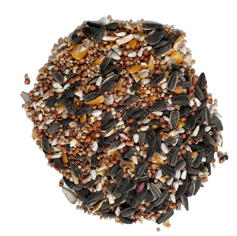 Wagner's 62067 Deluxe Treat Blend Wild Bird Food, 4 Pound (Pack of 1) - Image 3